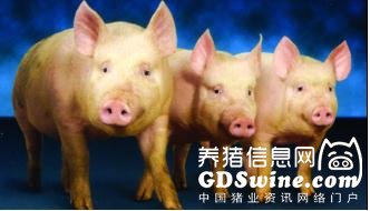 近3个月广东省猪群疫病流行的最新变化