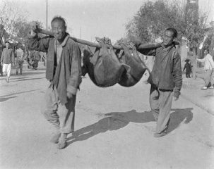 《视界》第4期：清朝末年老北京的生猪交易市场