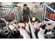 内蒙古鼎晨集团：全产业链模式打造“放心猪肉”