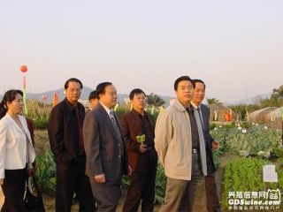 ƻͬ־ιЭԱλʡ Huang Huahua visited pig farm