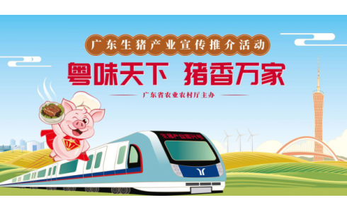 大动作！提振猪肉消费，广州地铁“生猪产业振兴号”重磅来袭！