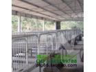 养猪场保育栏保育舍工程保育栏设备施工安装养猪成套设备供应
