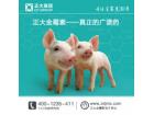 【猪】金霉素可以作为基础药物添加剂―正大集团